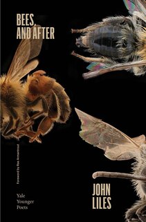 Front cover_Bees, and After