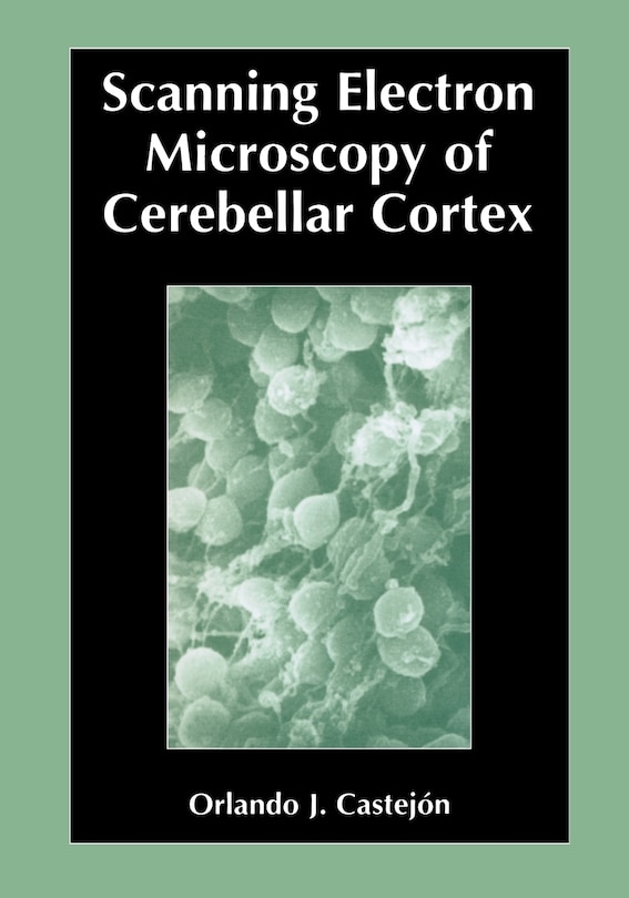 Front cover_Scanning Electron Microscopy of Cerebellar Cortex