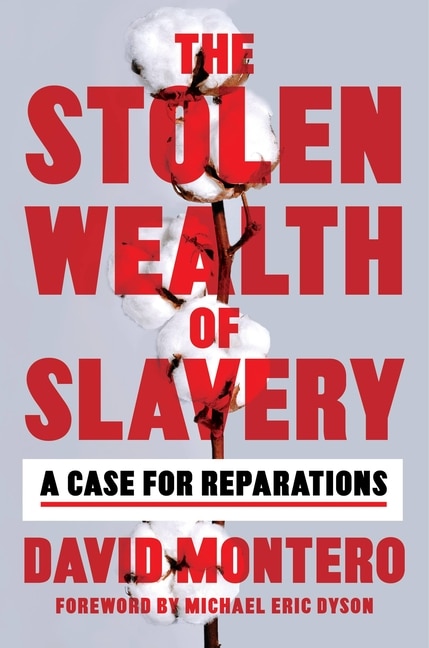 Couverture_The Stolen Wealth of Slavery