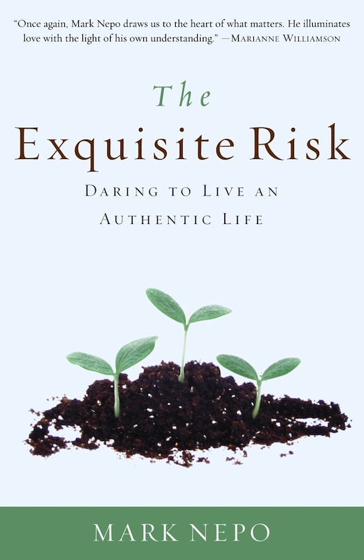 Front cover_The Exquisite Risk