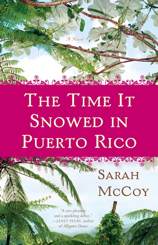 Couverture_The Time It Snowed in Puerto Rico