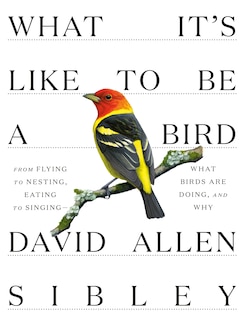 Front cover_What It's Like To Be A Bird