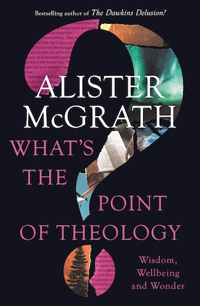 What's The Point Of Theology?: Wisdom, Wellbeing And Wonder