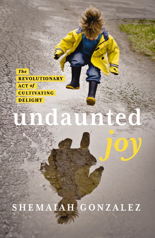 Couverture_Undaunted Joy