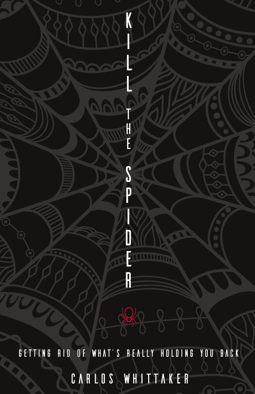 Couverture_Kill the Spider