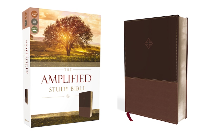 Front cover_The Amplified Study Bible, Leathersoft, Brown
