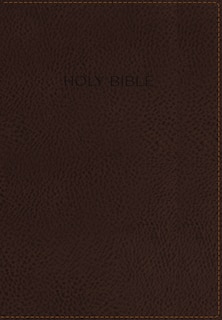 Front cover_Niv, Foundation Study Bible, Leathersoft, Brown, Red Letter, Thumb Indexed