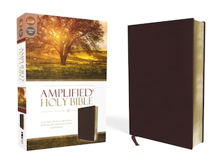 Front cover_Amplified Holy Bible, Bonded Leather, Burgundy