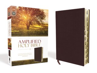 Front cover_Amplified Holy Bible, Bonded Leather, Burgundy, Thumb Indexed