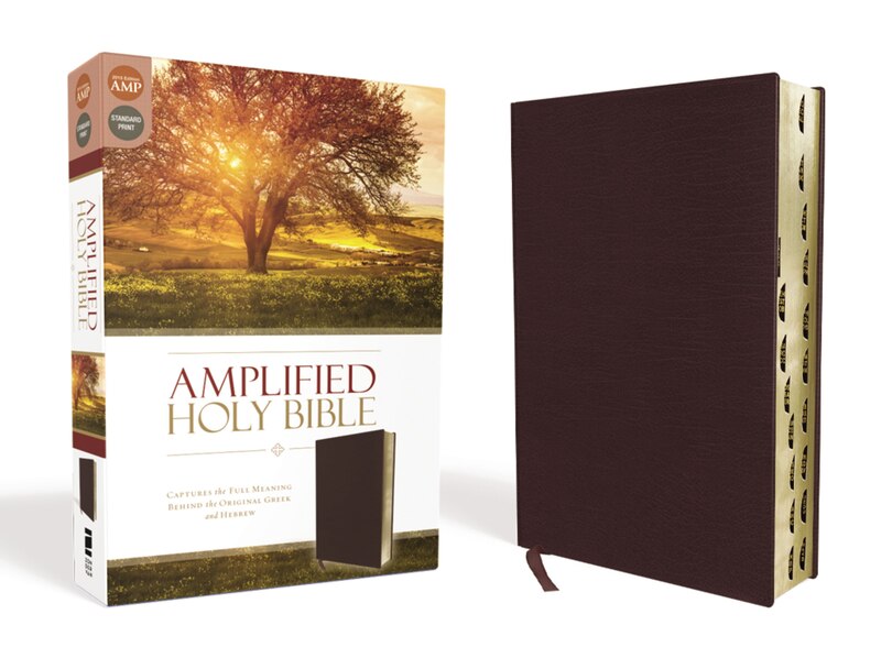 Front cover_Amplified Holy Bible, Bonded Leather, Burgundy, Thumb Indexed