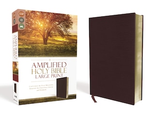 Front cover_Amplified Holy Bible, Large Print, Bonded Leather, Burgundy