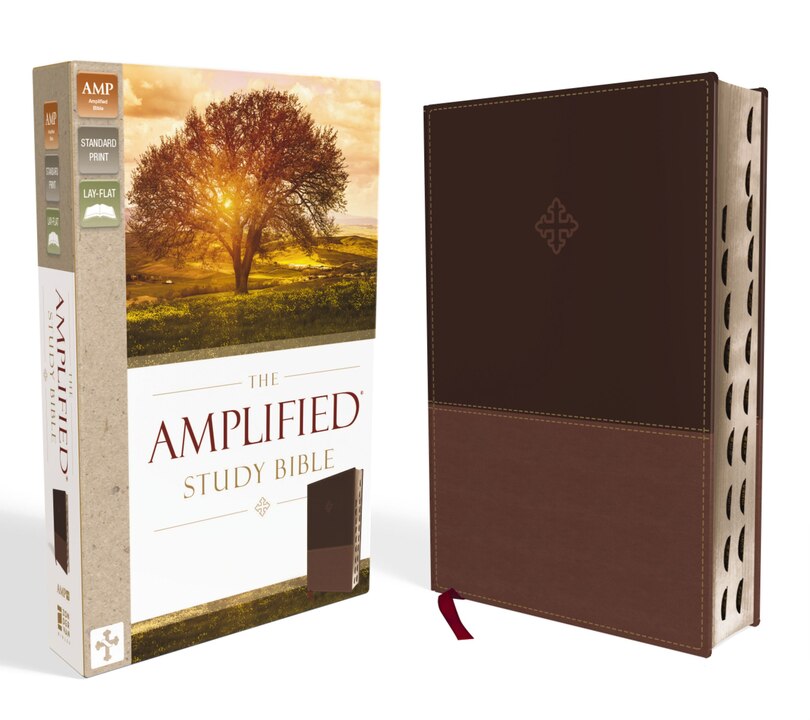 Front cover_The Amplified Study Bible, Leathersoft, Brown, Thumb Indexed