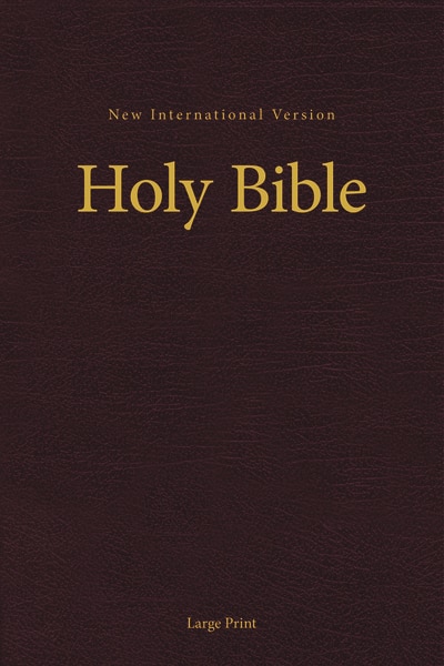 Front cover_NIV, Church Bible (Pew Bible), Large Print, Hardcover, Burgundy, Comfort Print