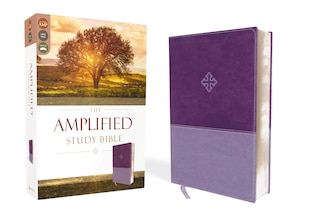 Couverture_The Amplified Study Bible, Leathersoft, Purple