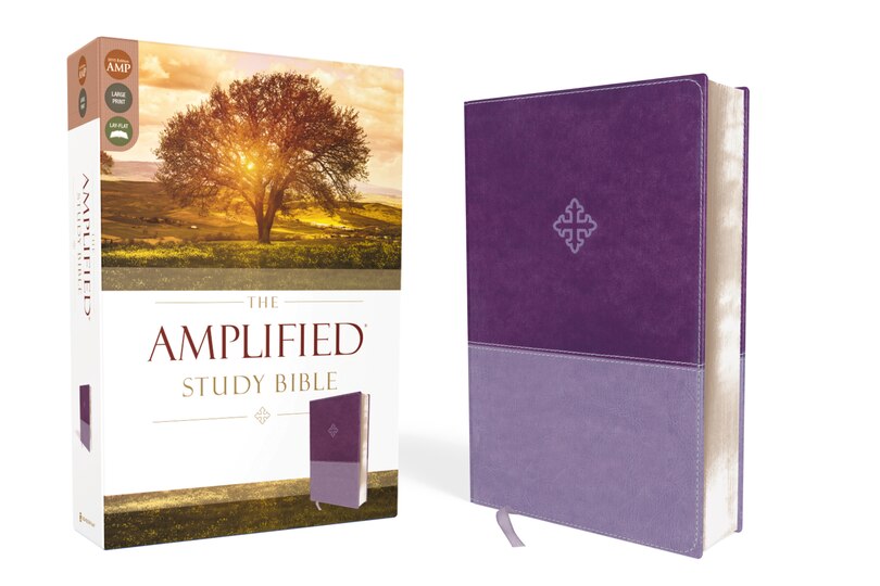 Couverture_The Amplified Study Bible, Leathersoft, Purple