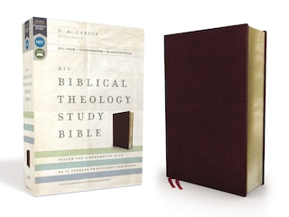 Front cover_NIV, Biblical Theology Study Bible (Trace the Themes of Scripture), Bonded Leather, Burgundy, Comfort Print