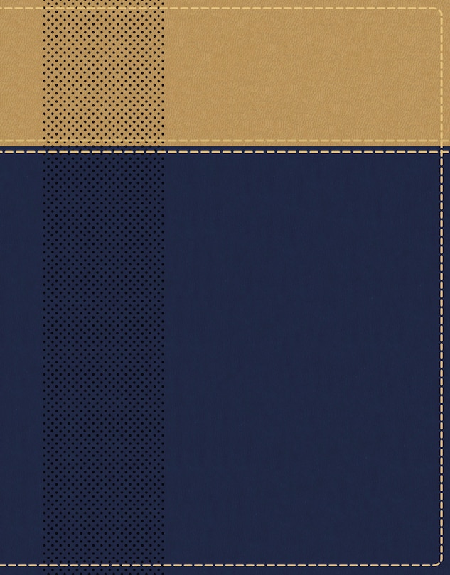 Couverture_NIV, Starting Place Study Bible (An Introductory Study Bible), Leathersoft, Navy/Tan, Thumb Indexed, Comfort Print