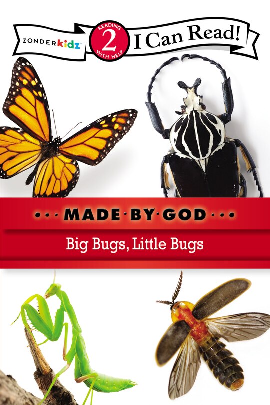 Couverture_Big Bugs, Little Bugs