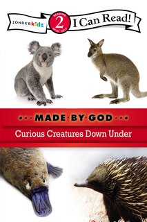 Couverture_Curious Creatures Down Under
