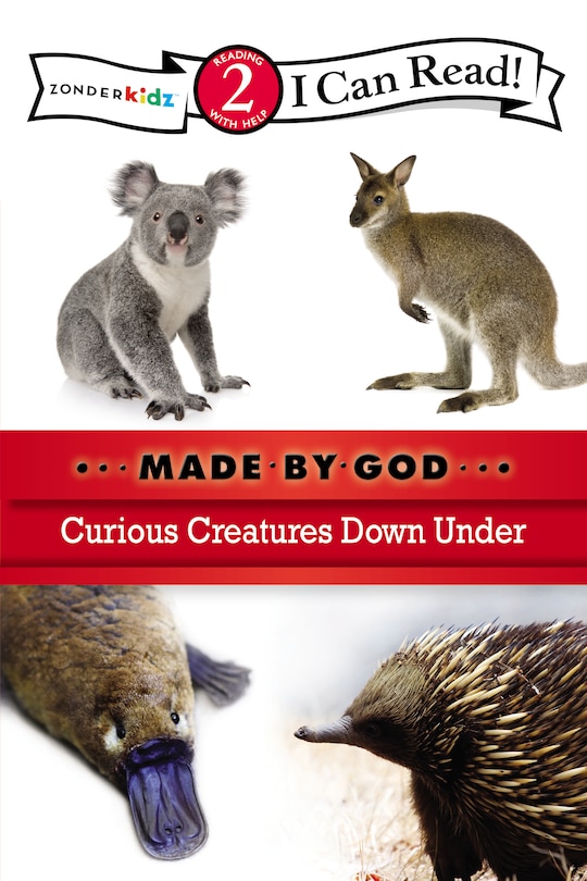 Couverture_Curious Creatures Down Under