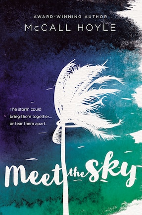 Meet The Sky