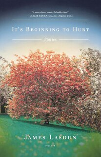 Couverture_It's Beginning To Hurt