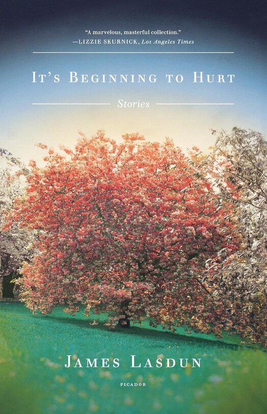Couverture_It's Beginning To Hurt