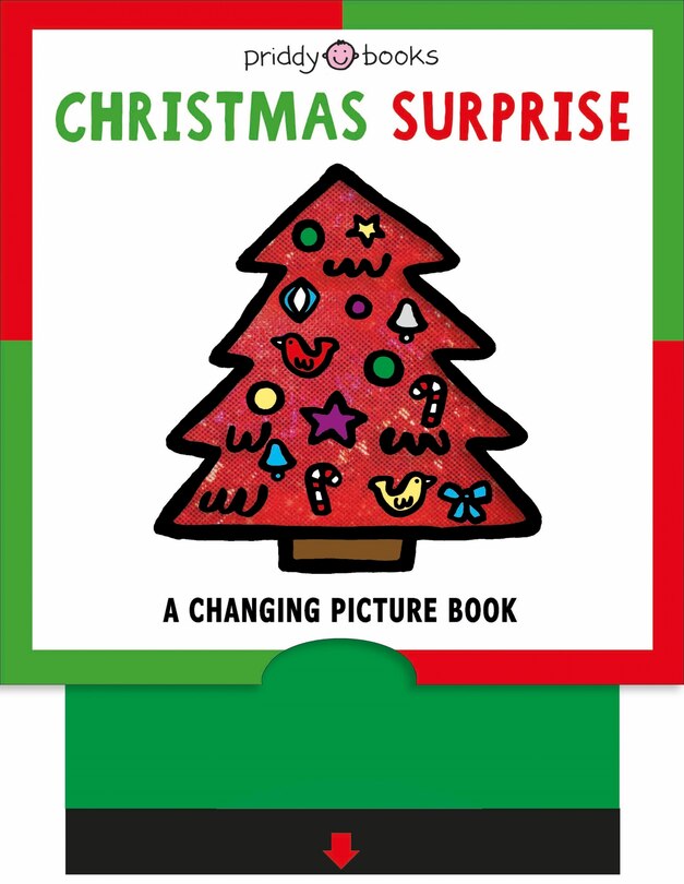 Couverture_A Changing Picture Book: Christmas Surprise