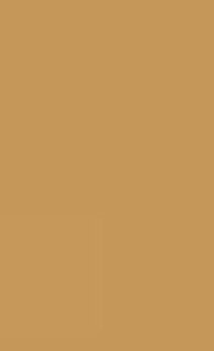 Couverture_The Meaning of Heidegger