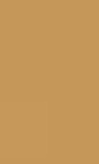 Couverture_The Meaning of Heidegger