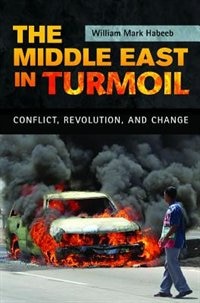 Front cover_The Middle East in Turmoil