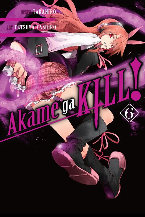 Front cover_Akame Ga Kill!, Vol. 6