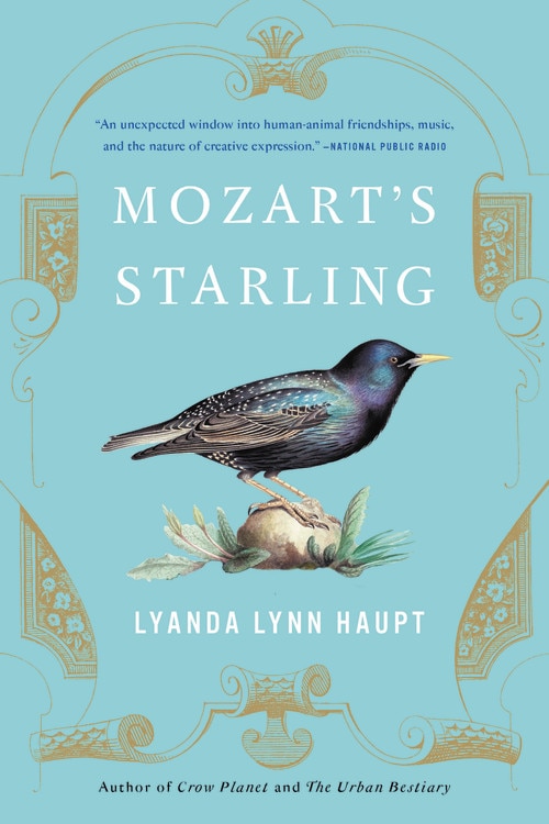 Front cover_Mozart's Starling