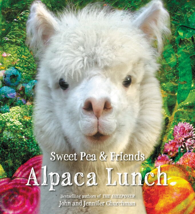 Front cover_Alpaca Lunch