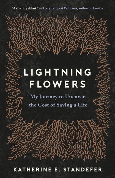 Couverture_Lightning Flowers