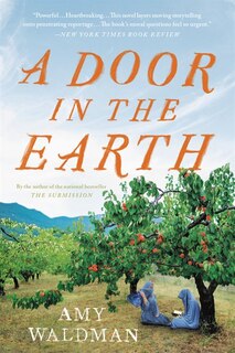 Front cover_A Door in the Earth