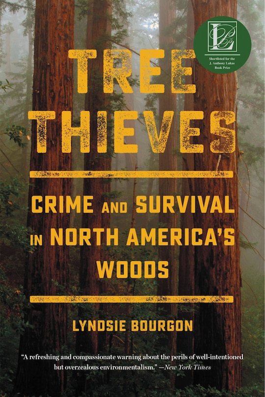 Couverture_Tree Thieves