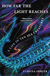 Couverture_How Far The Light Reaches