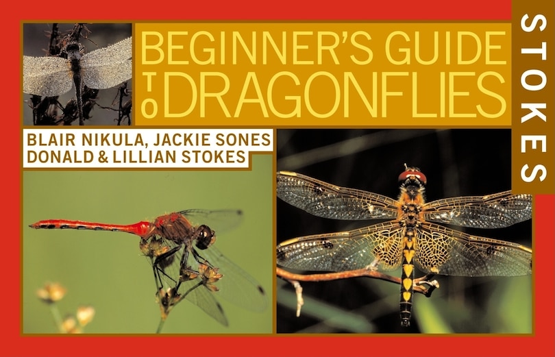 Front cover_Stokes Beginner's Guide To Dragonflies