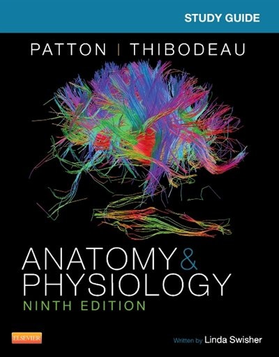 Front cover_Study Guide For Anatomy And Physiology