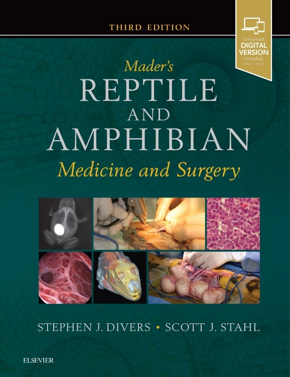 Couverture_Mader's Reptile And Amphibian Medicine And Surgery