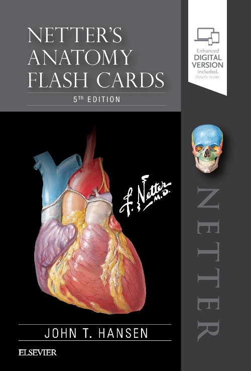 Front cover_Netter's Anatomy Flash Cards