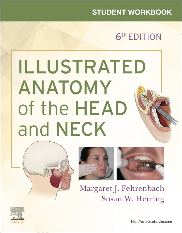Couverture_Student Workbook For Illustrated Anatomy Of The Head And Neck