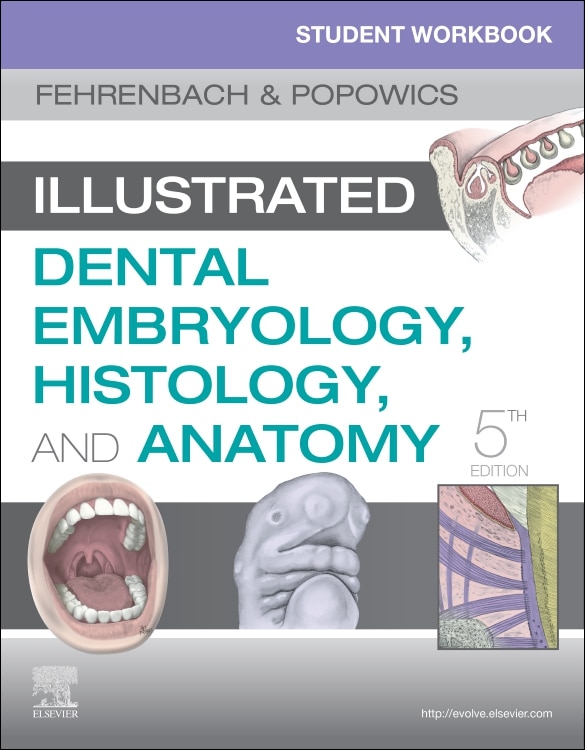 Front cover_Student Workbook For Illustrated Dental Embryology, Histology And Anatomy