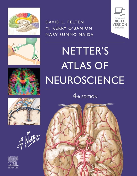 Front cover_Netter's Atlas of Neuroscience