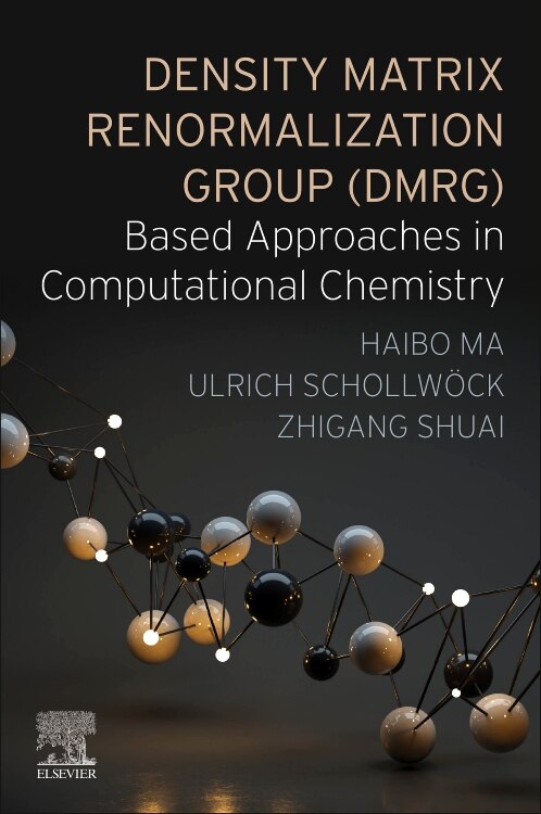 Couverture_Density Matrix Renormalization Group (DMRG)-based Approaches in Computational Chemistry