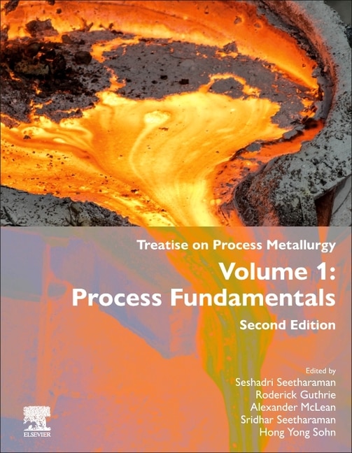 Couverture_Treatise on Process Metallurgy