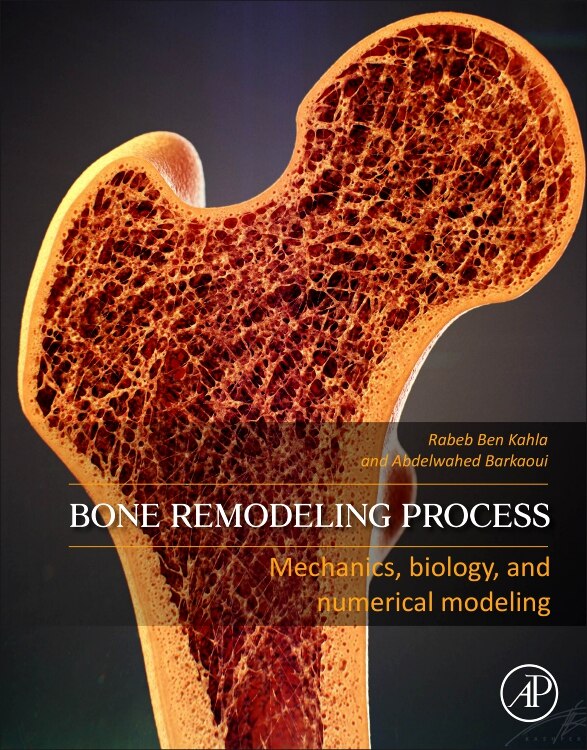 Couverture_Bone Remodeling Process