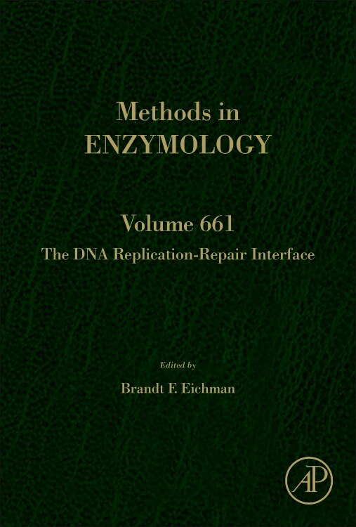 Front cover_The Dna Replication-repair Interface
