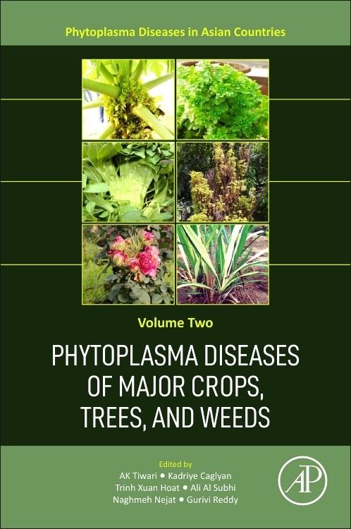 Couverture_Phytoplasma Diseases of Major Crops, Trees, and Weeds